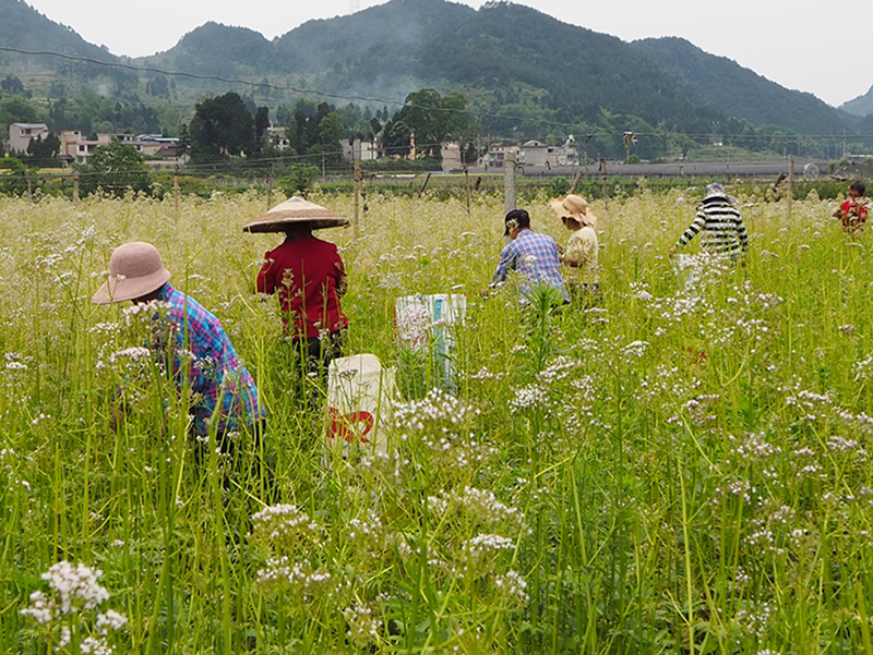 OLYMPUS DIGITAL CAMERA OLYMPUS DIGITAL CAMERA